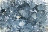 Sparkling Celestine (Celestite) Geode - Madagascar #376125-1